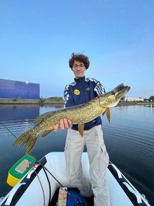 Northern Pike