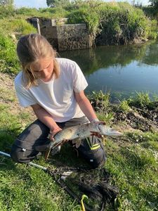 Northern Pike