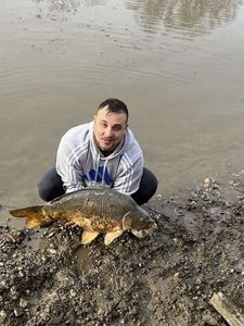 Leather Carp