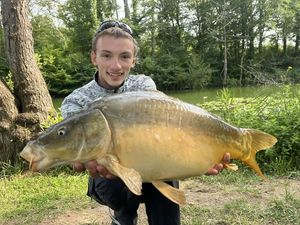 Mirror Carp