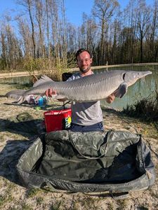 Sturgeon