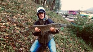 Northern Pike