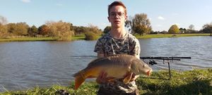 Mirror Carp