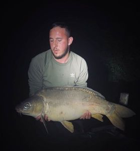 Mirror Carp