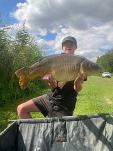 Mirror Carp