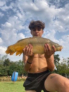 Leather Carp