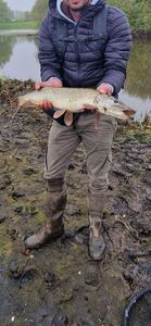 Northern Pike