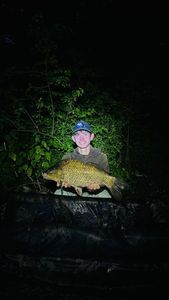 Crucian Carp