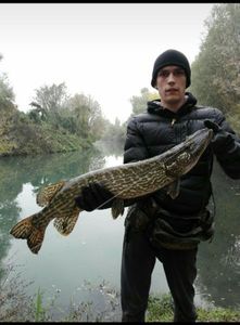 Northern Pike