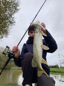 Northern Pike