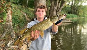 Northern Pike