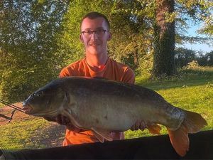 Mirror Carp