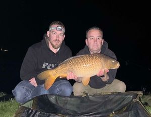 Common Carp