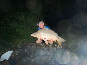 Mirror Carp
