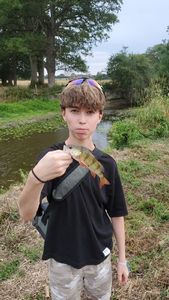 European Perch