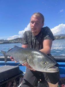 Bluefish