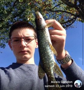 Northern Pike
