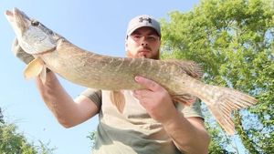 Northern Pike