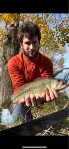 Largemouth Bass