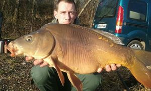 Leather Carp