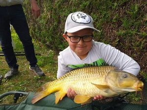Common Carp