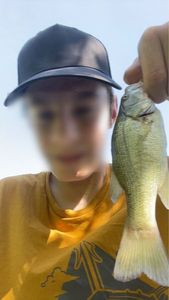 Largemouth Bass