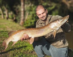 Northern Pike
