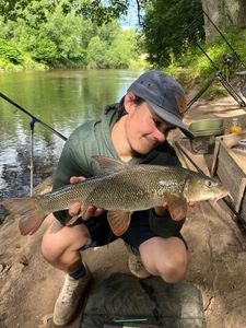 Barbel