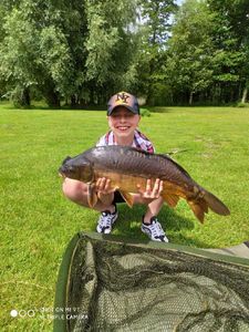 Mirror Carp