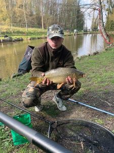 Common Carp
