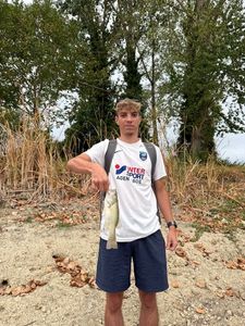 Largemouth Bass