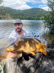 Leather Carp
