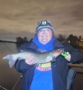Channel Catfish