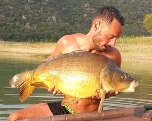 Mirror Carp