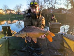 Mirror Carp
