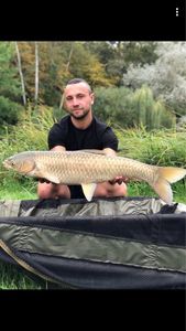 Grass Carp