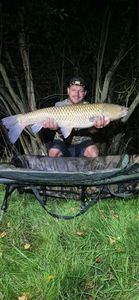 Grass Carp