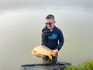 Common Carp