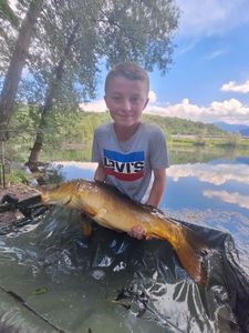 Mirror Carp