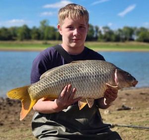 Common Carp