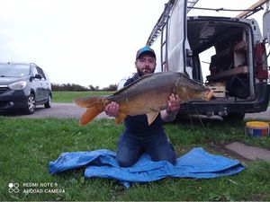 Mirror Carp