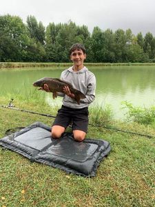 Mirror Carp