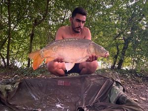 Mirror Carp