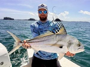 Roosterfish
