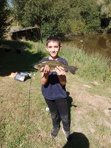 Largemouth Bass