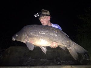 Mirror Carp