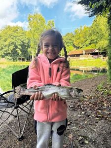 Rainbow Trout