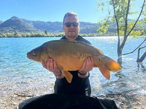 Mirror Carp