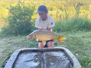 Mirror Carp