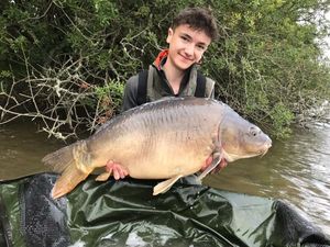 Mirror Carp
